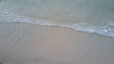 Üstten Görünüm deniz kum plaj arka plan kavramı kuş gözü. Yumuşak focu