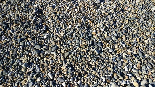 Seashore Beautiful Gray Stones — Stock Photo, Image