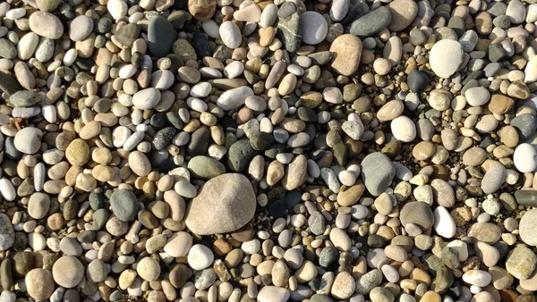 Küste Mit Schönen Grauen Steinen — Stockfoto