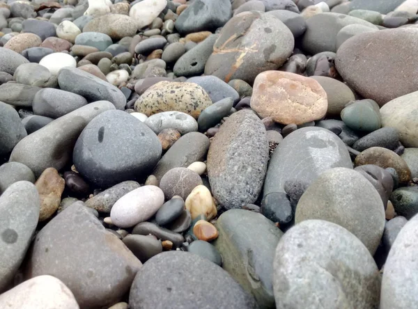  Güzel gri taşları olan deniz kıyısı.