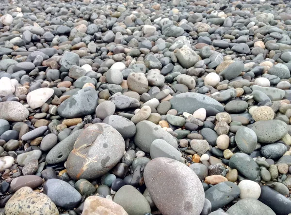 Küste Mit Schönen Grauen Steinen — Stockfoto