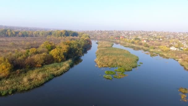 Letecký Pohled Časné Podzimní Ráno Nad Řekou Žluté Stromy Řeky — Stock video