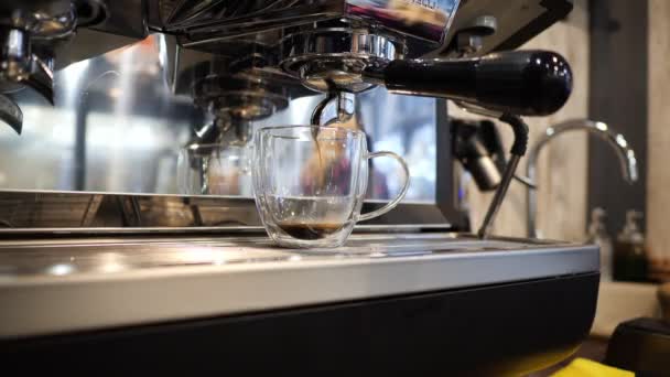Подготовка кофе. В стакане чашки из кофеварки наливает кофе — стоковое видео