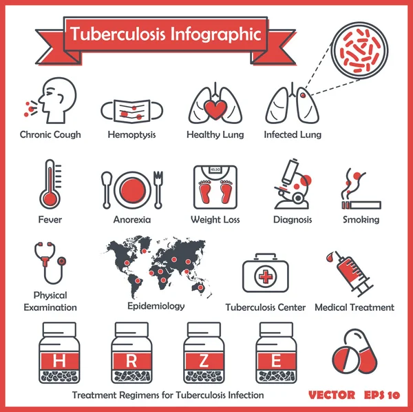 Tuberculose (Tb) infographics: Tb symptomen (chronische hoest, bloedspuwing, koorts, gewichtsverlies, anorexie, nacht zweten), diagnose voor Tb (verzamelen van sputum Afb, borst x - ray), behandeling regimes for Tb — Stockvector