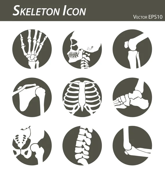 Csontváz ikon (kéz, ujj, csukló, fej, nyak, comb, térd, láb, váll, kar, alkar, mellkas, boka, láb, csípő, csípő, gerinc (csigolyák), könyök) fekete-fehér, lapos kivitel — Stock Vector