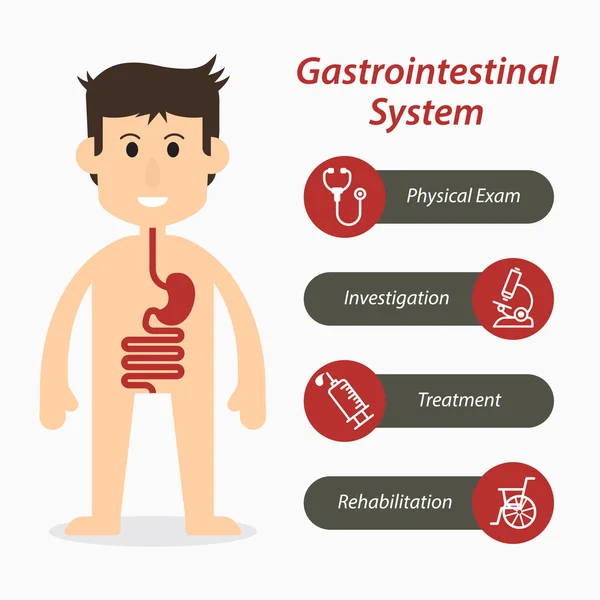 Sistema gastrointestinal e ícone de linha médica — Vetor de Stock