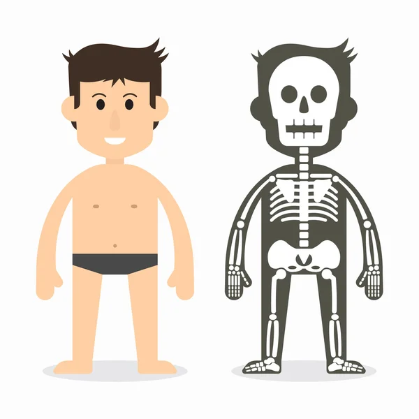 Человеческое тело и скелетная система (плоская конструкция  ) — стоковый вектор