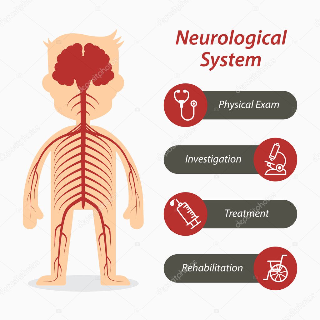 Neurological system and medical line icon