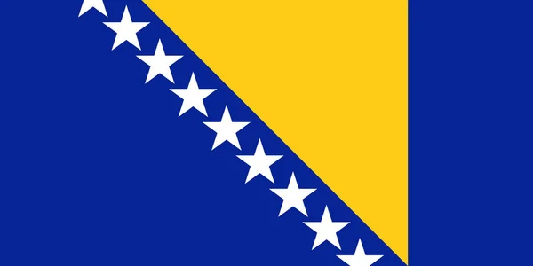 Officiële vector vlag van Bosnië en Herzegovina . — Stockvector