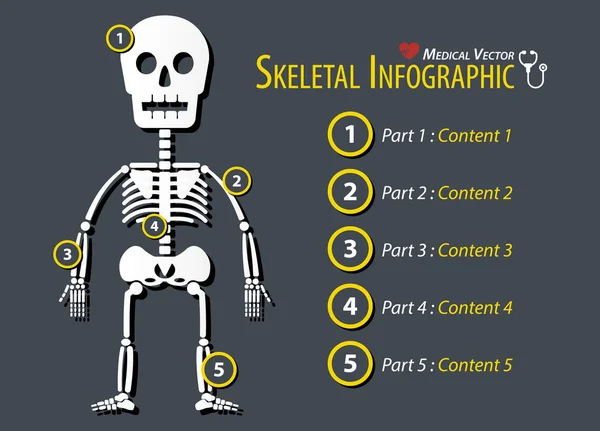 Skelettet Infographic. Platt design . — Stock vektor