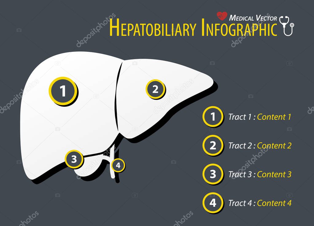 Hepatobiliary Infographic . Flat design .