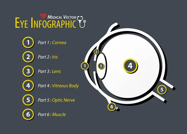 Göz Infographic. Düz tasarım . — Stok Vektör