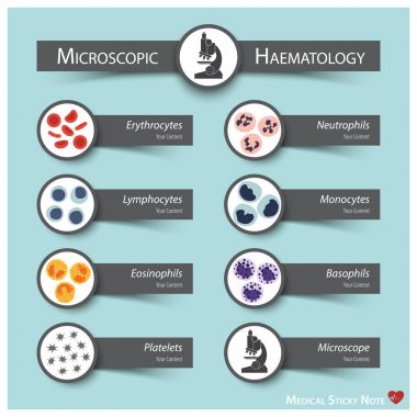 Microscopic Haematology . Medical sticky note style ( Bone marrow produce blood cells series : erythrocytes . lymphocytes . neutrophils . monocytes . eosinophils . basophils . thrombocytes ) clipart
