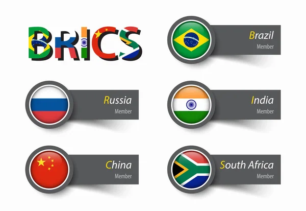 BRICS . association of 5 countries ( brazil , russia , india , china , south africa )