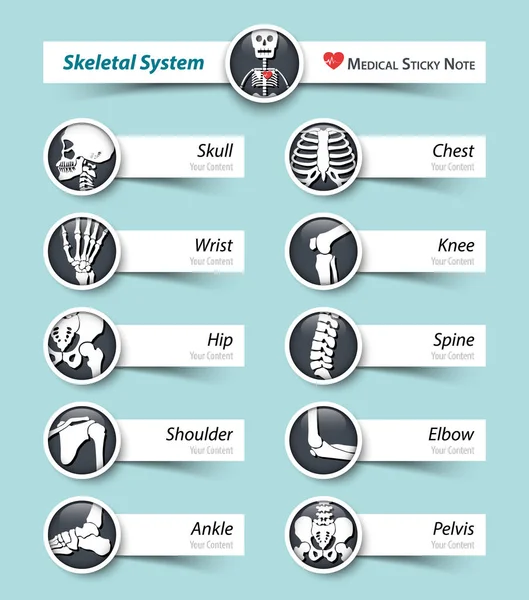 Skelettsystem. Knochensymbol und Haftnotiz . — Stockvektor