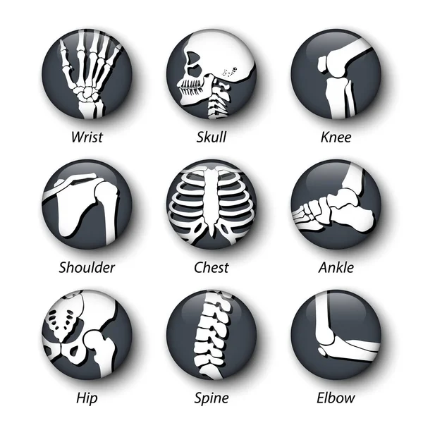 Skelet systeempictogram met uitpuilende glasdeel . — Stockvector