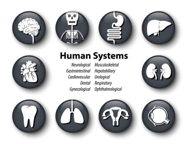 İnsan sistemleri simge kümesi. Yuvarlak cam kapak tasarımı. Vektör