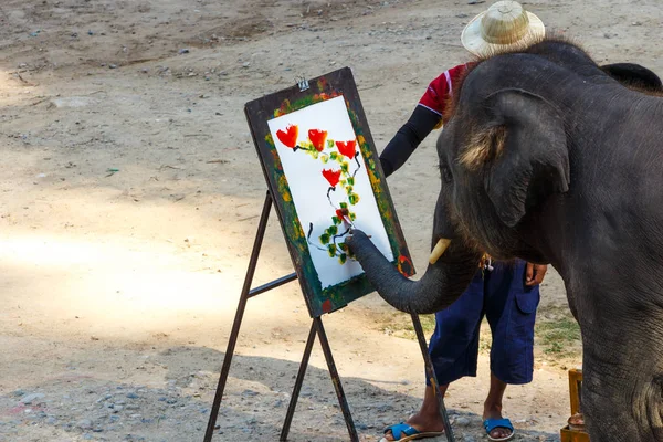 Elephant is painting by oil color at Mae Sa elephant camp , Chiangmai ,Thailand — Stock Photo, Image