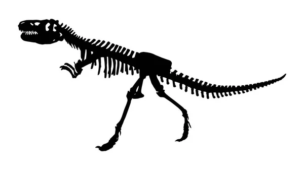 격리 된 배경에서 Siamotyrannus isanensis (Tyrannosauridae의 가족)의 해골. 벡터입니다. 평면 디자인 — 스톡 벡터