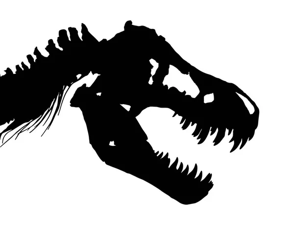 Skelet van Tyrannosaurus rex (T-rex) (schedel en nek). Vector — Stockvector