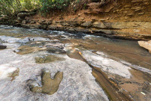 Footprint of dinosaur ( Carnotaurus ) on ground near stream at Phu Faek national forest park , Kalasin ,Thailand . Water logged on it
