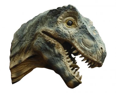 Tyrannosaurus rex heykeli. İzole