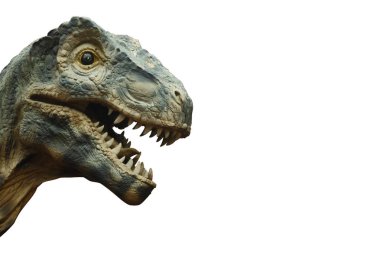 Tyrannosaurus rex ve boş alanı sağ yan tarafta. İzole