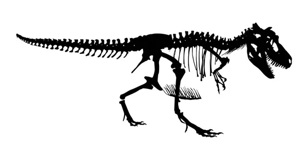Tyrannosaurus Rex skeleton . Silhouette vector . side view — Stock Vector