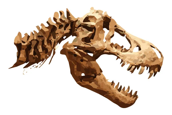 Vector skeleton of Tyrannosaurus rex ( T-rex ) on isolated background . Skull and Neck — Stock Vector