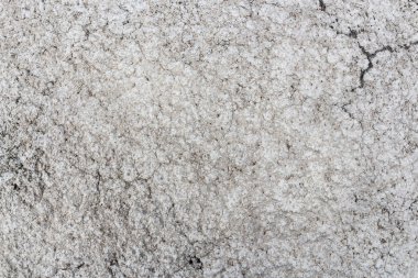 Grunge çimento doku arka plan. Gri renk. Soyut kavram