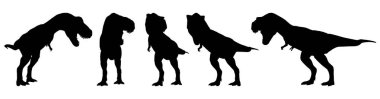 Tyrannosaurus rex (T-rex) yürüyor ve homurdanıyor. Silüet tasarımı. Bir dizi dinozor duruşu. Vektör .