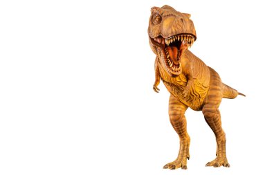 Tyrannosaurus rex (T-rex) yürümekte, ağzını açmakta ve sol bölgede uzayı kopyalamaktadır. Ön manzara. Siyah izole edilmiş arka plan. Jurasik peroid dinazor. Gömülü kırpma yolları .