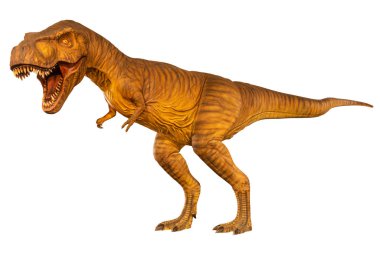 Tyrannosaurus rex (T-rex) yürüyor ve ağzını açıyor. Yan görüş. Beyaz izole edilmiş arka plan. Jurasik peroid dinazor. Gömülü kırpma yolları .