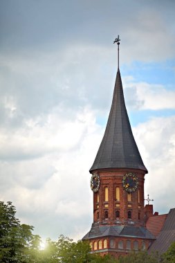 Kaliningrad Katedrali 'nin güneşli manzarası