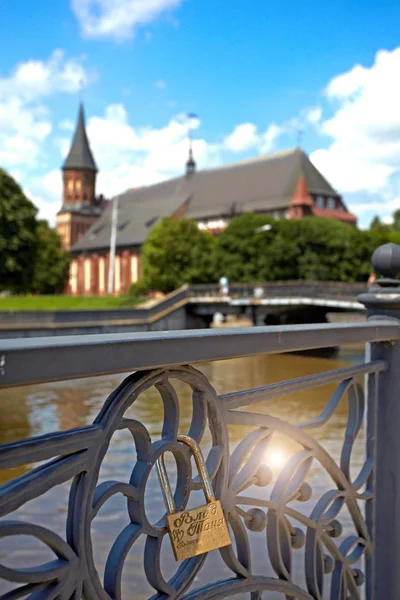 Sonniger Blick Auf Die Kaliningrader Kathedrale Blick Auf Den Zaun — Stockfoto