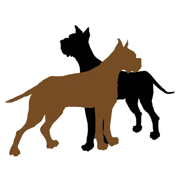 Dois Cães Staffordshire Terrier Schnauzer Gigante — Vetor de Stock