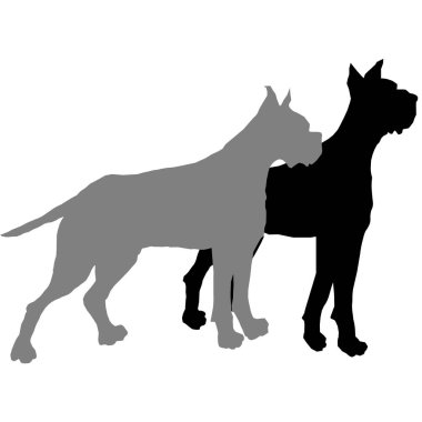 Gri ve siyah renkli iki köpek.