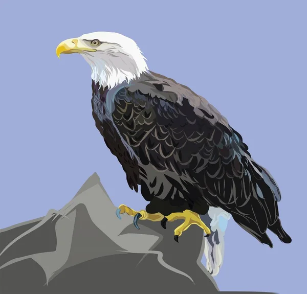 Illustration Bald Eagle Sitting Peak Mountain Blue Sky — Stock Vector