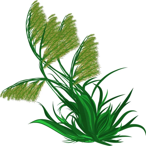 一丛绿草的草图 适用于徽章 面料图案 — 图库矢量图片