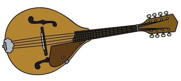 Classic country mandolin — Stock Vector