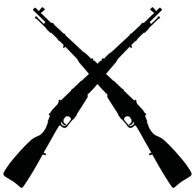 İki eski askeri tüfekler