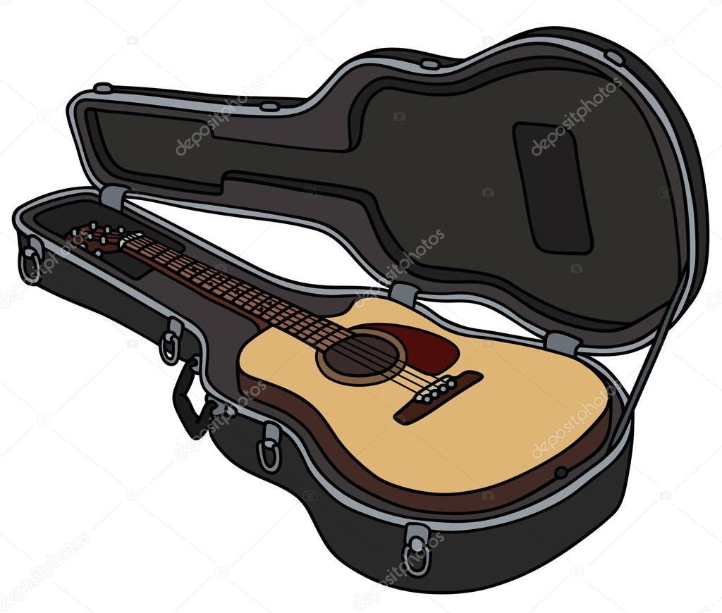 The guitar in a hard case