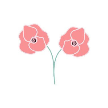 Kök vektör illüstrasyonlu pembe gelincik çiçekleri ağ ve mobilem için beyaz bir arkaplanda izole edilmiş. Tebrik kartları, doğum günü kartları, anneler günü, kadınlar günü için..