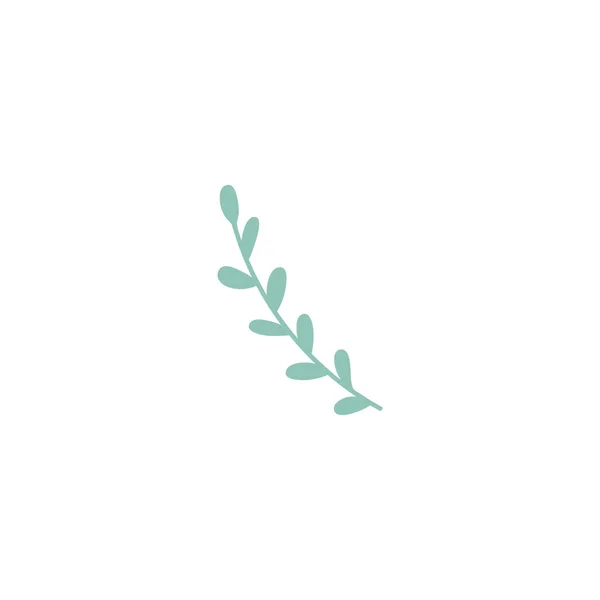 Ветка Бледно Зелеными Листьями Белом Фоне — стоковый вектор