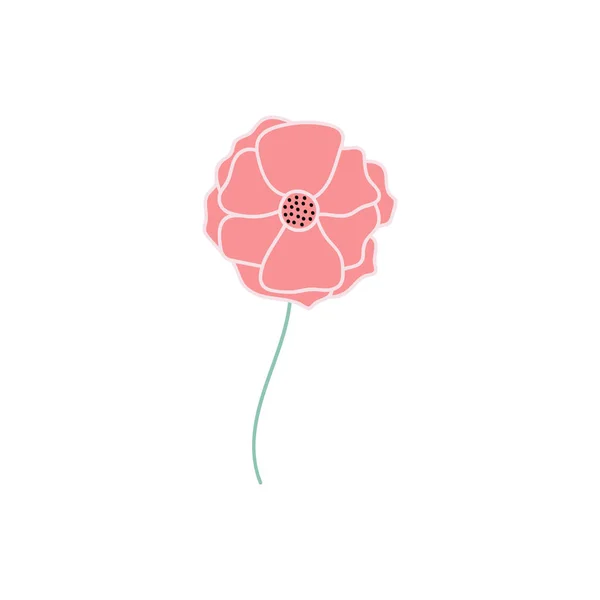 Illustration Vectorielle Fleur Pavot Rose Isolée Sur Fond Blanc Pour — Image vectorielle