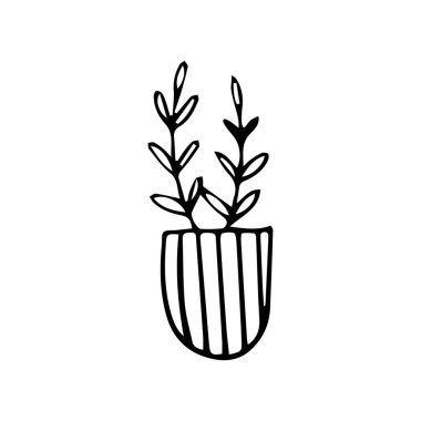 Beyaz arka planda izole edilmiş bir çömlek düz vektör ikonunda el çizimi ev bitkisi.