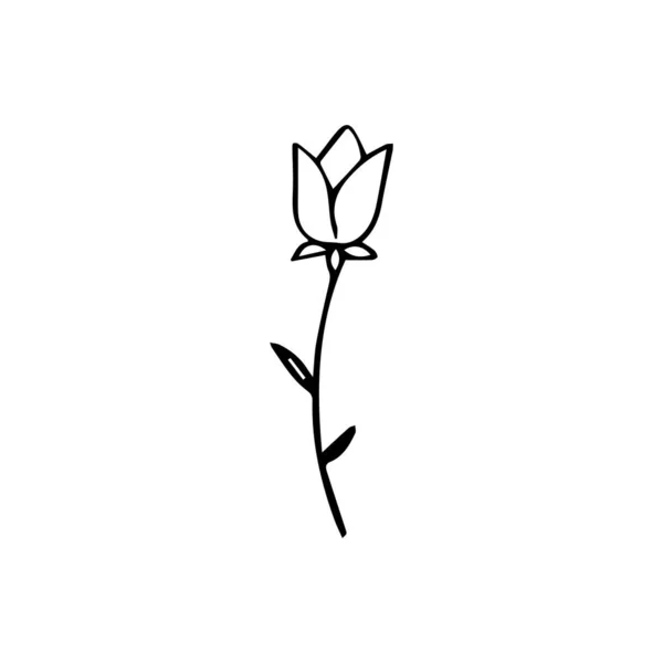 Icône Vectorielle Plate Fleur Tulipe Dessinée Main Isolée Sur Fond — Image vectorielle