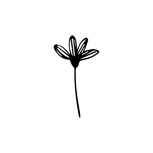 Hand Getekend Overzicht Bloem Vlakke Vector Pictogram Geïsoleerd Een Witte — Stockvector