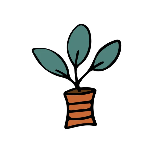 Ručně Kreslený Dům Rostlina Hrnci Ploché Vektorové Ikony Izolované Bílém — Stockový vektor