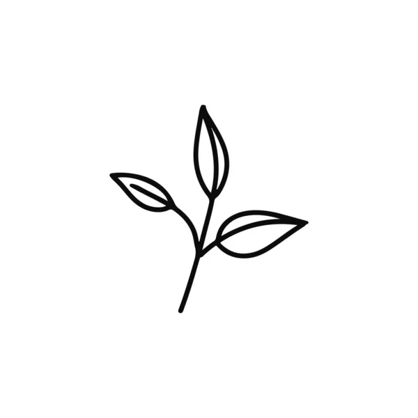 Handgezeichnete Blätter Flaches Vektorsymbol Isoliert Auf Weißem Hintergrund — Stockvektor